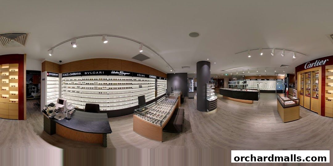 Interior view of a well-lit optical shop showcasing a wide selection of designer eyewear.