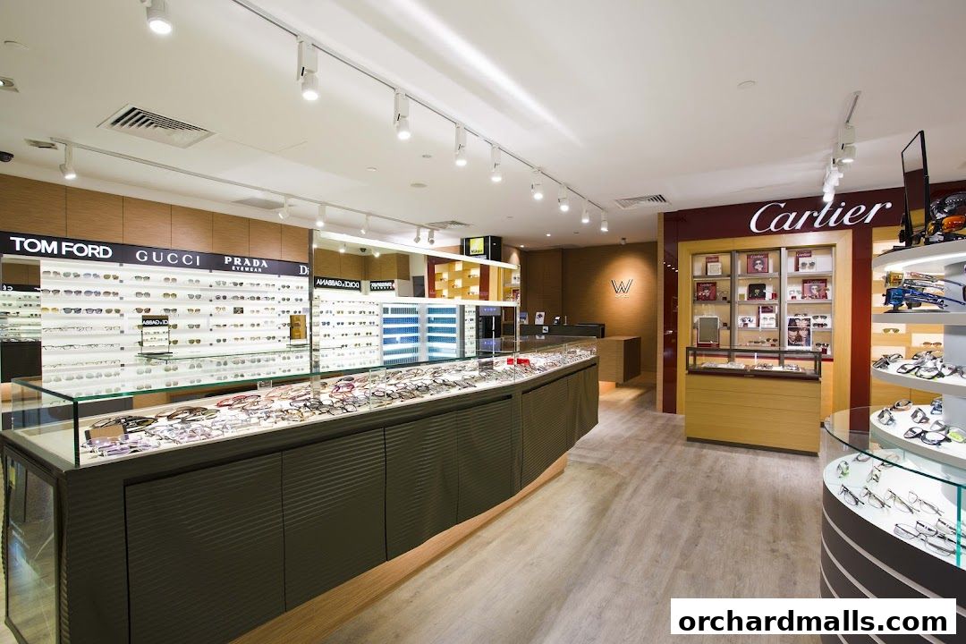 Interior of an optical shop showcasing a wide selection of designer eyewear and accessories.