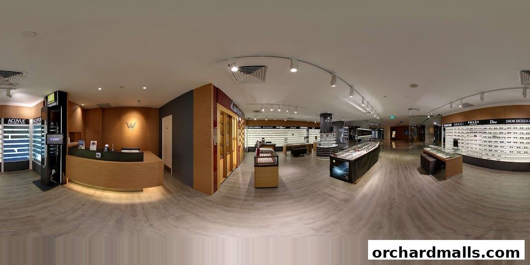 Interior view of W Optics, showcasing a wide selection of eyewear and contact lenses.