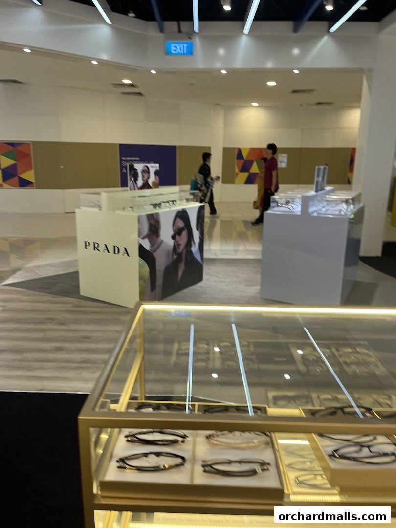 Interior view of an optical shop showcasing various eyewear displays and a Prada advertisement.