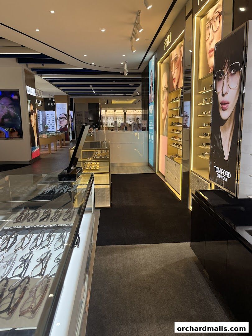 Interior view of a modern optical shop showcasing various eyewear brands and displays.