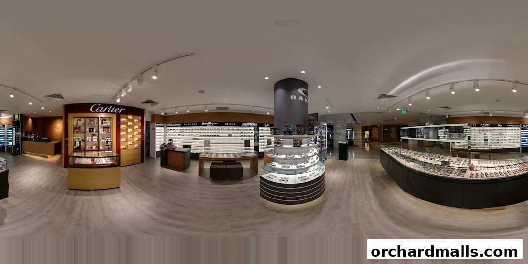 Interior view of W Optics, showcasing a wide selection of designer eyewear and frames.