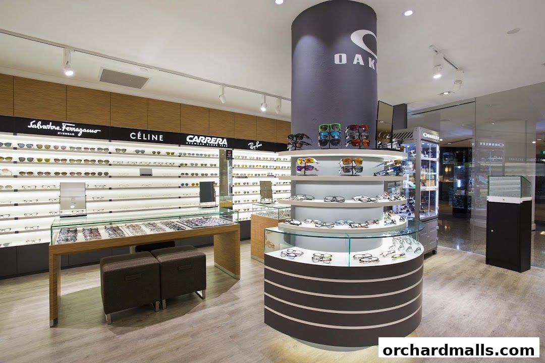 Interior of an optical shop showcasing a wide selection of sunglasses and eyeglasses.