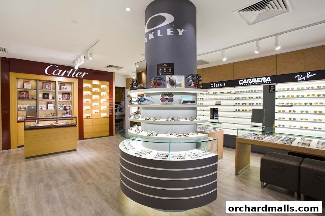 Interior view of an optical shop showcasing various eyewear brands and displays.
