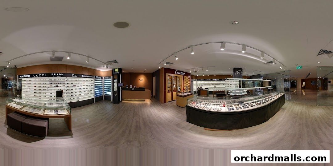 Interior view of W Optics, showcasing a wide selection of designer eyewear and contact lenses.