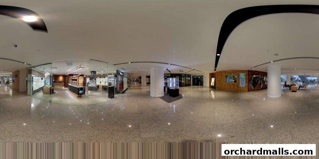 Interior view of W Optics, showcasing eyewear displays and a modern retail environment.
