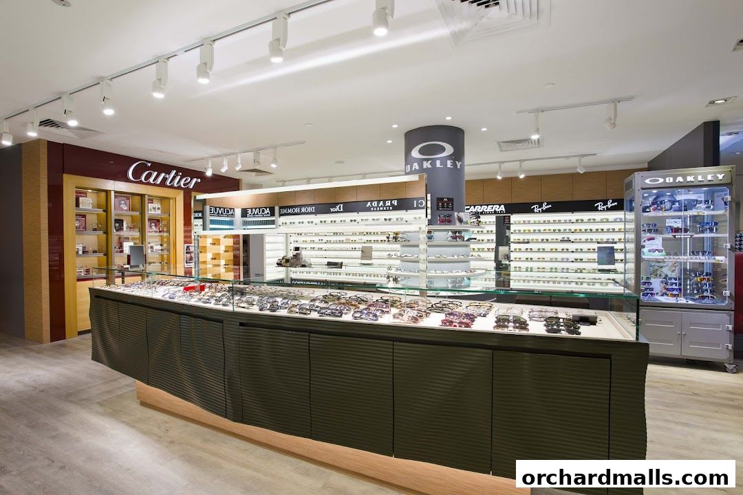 Interior of an optical shop showcasing a wide selection of designer eyewear and accessories.