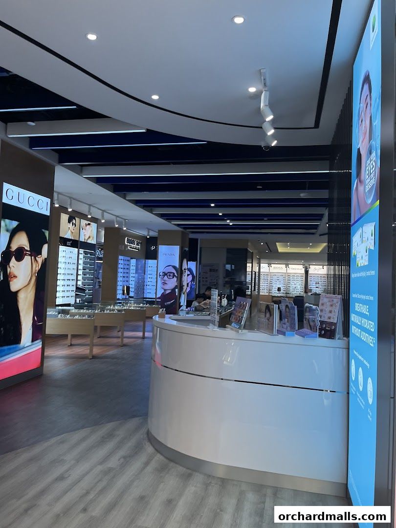 Interior view of an optical shop with displays of glasses and a reception counter.