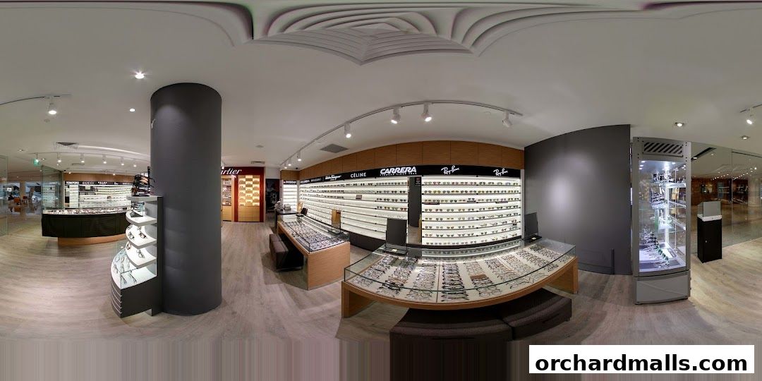Interior view of W Optics, showcasing a wide selection of eyeglasses and sunglasses on display.