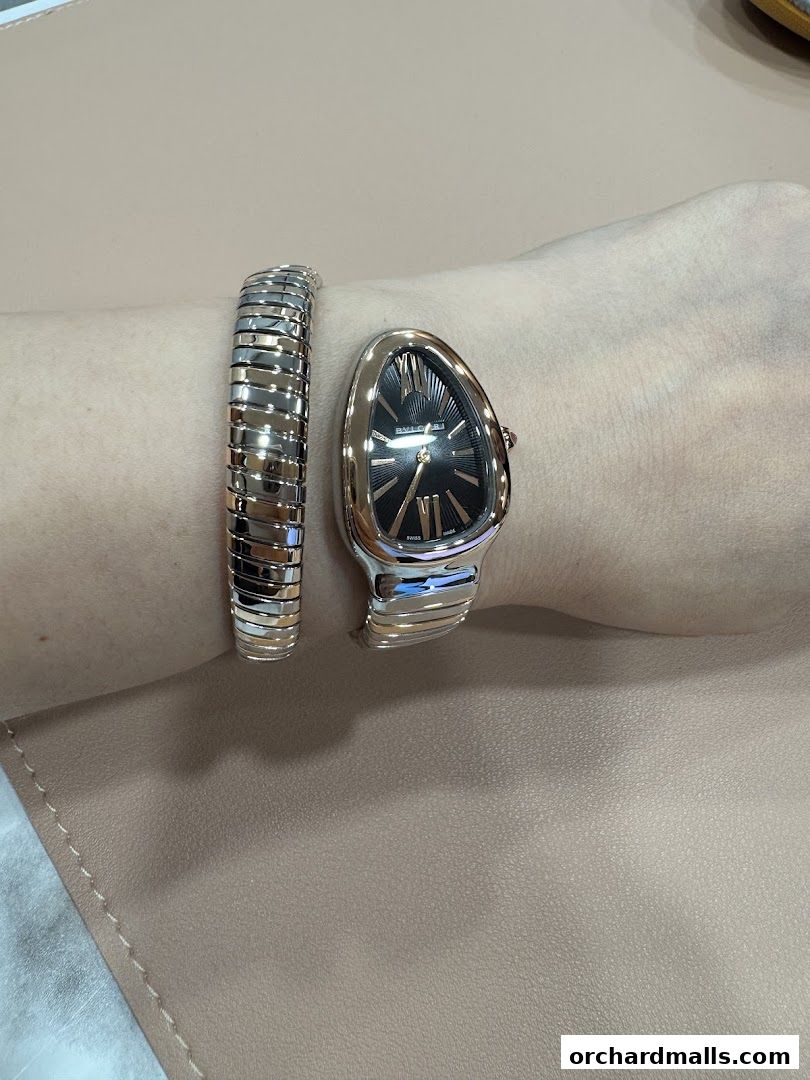 Watchlab Singapore  Watch Repair Servicing Polishing Rolex AP RM Richard Mille