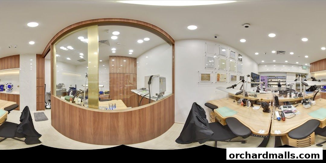 Watchlab Singapore  Watch Repair Servicing Polishing Rolex AP RM Richard Mille