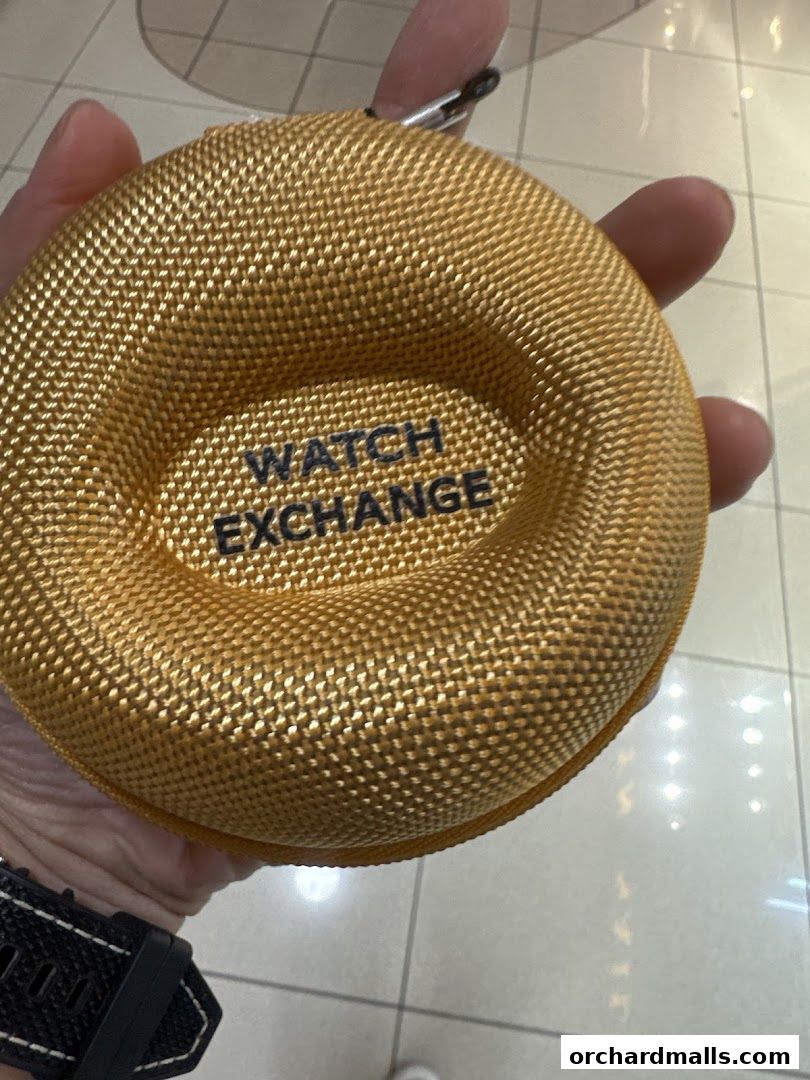 Watchlab Singapore  Watch Repair Servicing Polishing Rolex AP RM Richard Mille