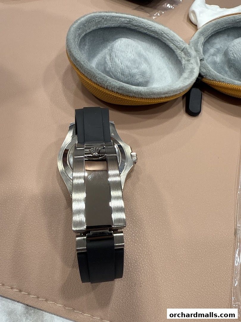 Watchlab Singapore  Watch Repair Servicing Polishing Rolex AP RM Richard Mille