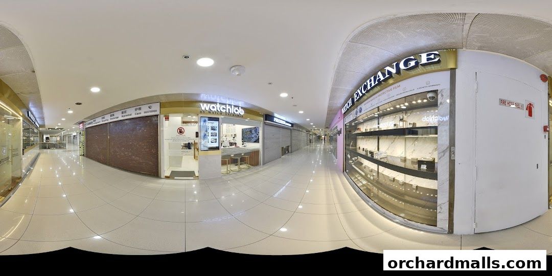 Watchlab Singapore  Watch Repair Servicing Polishing Rolex AP RM Richard Mille