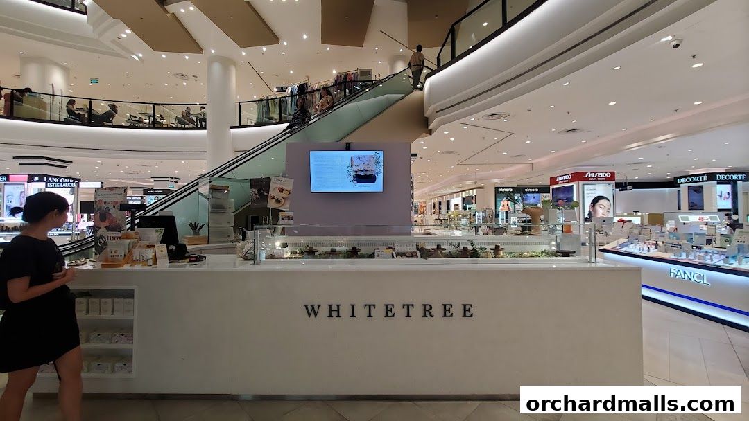 WHITETREE Café  Shop