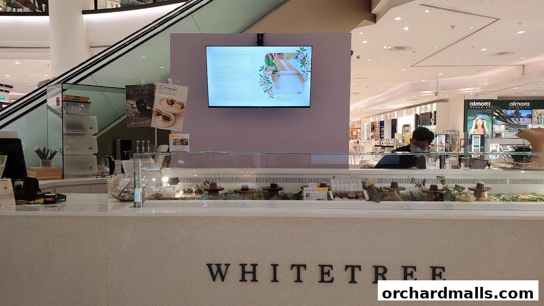 Menu page for WHITETREE Café  Shop