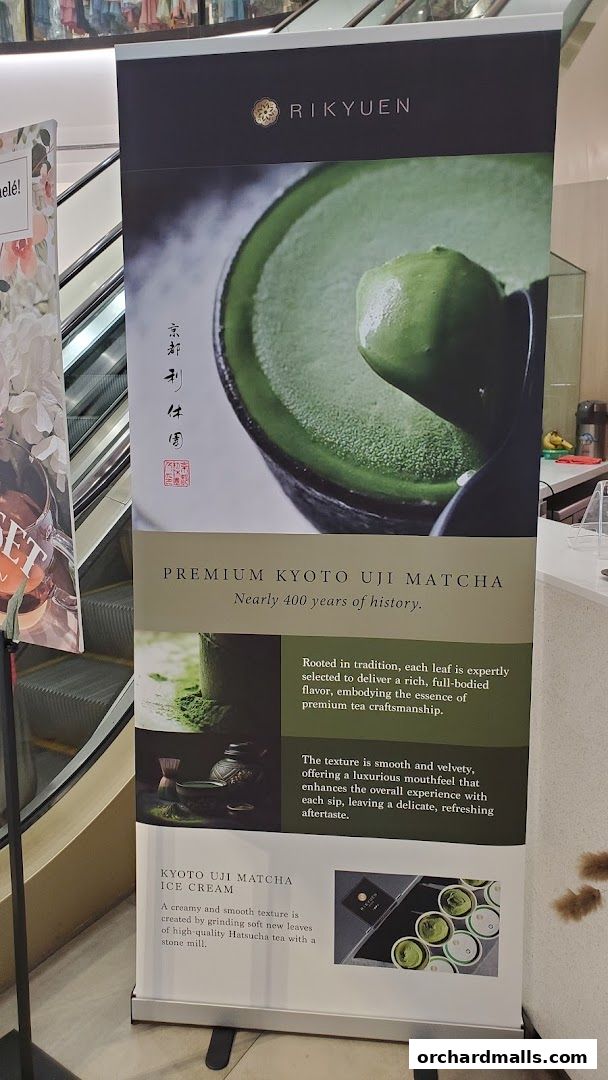 WHITETREE Café  Shop