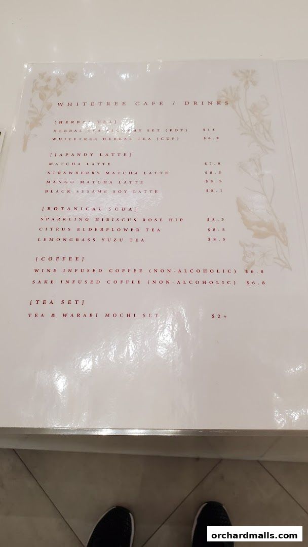 WHITETREE Café  Shop