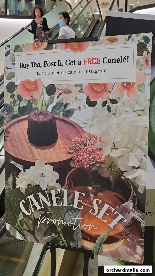 WHITETREE Café  Shop