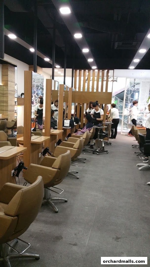 Wise Hair Salon