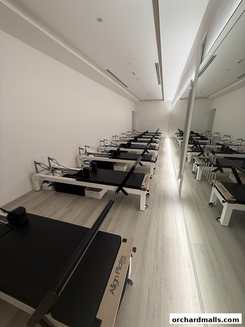 A clean and modern studio with multiple Pilates reformers arranged in rows.