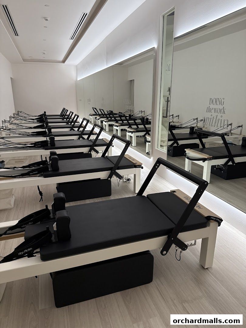 A clean and modern studio with multiple Pilates reformers arranged in rows.