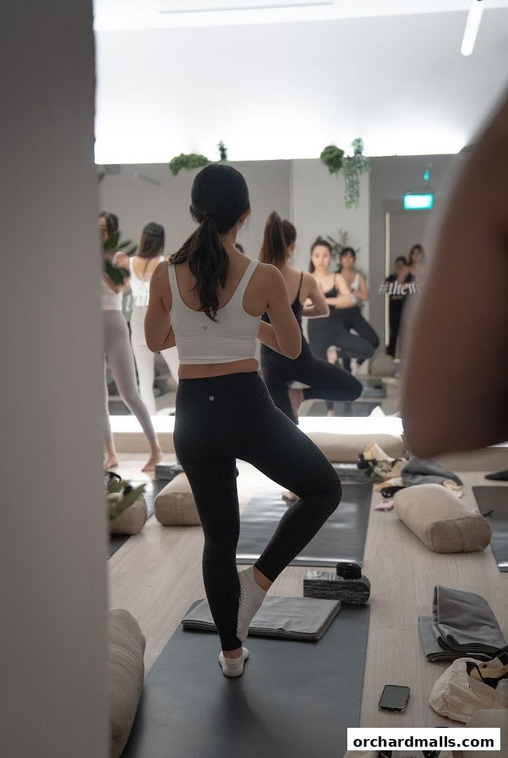 People practicing yoga in a bright studio with mirrors and plants.