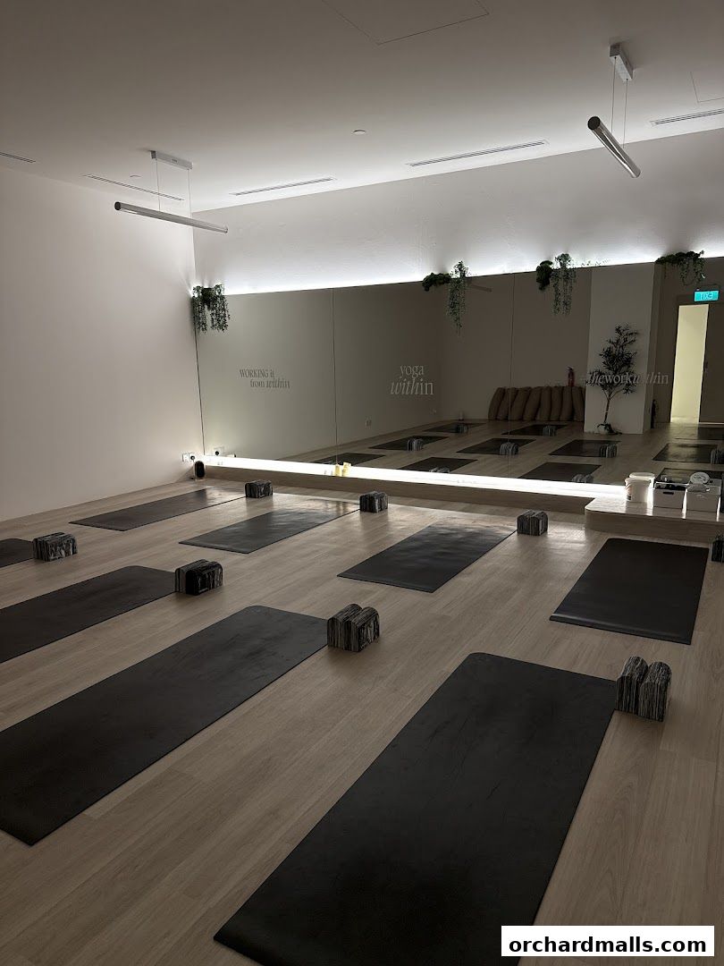 Interior of a yoga studio with mats and blocks laid out for practice.