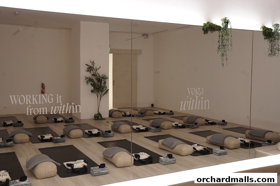 Interior of a yoga studio with mats, bolsters, and plants, reflecting in a mirror.