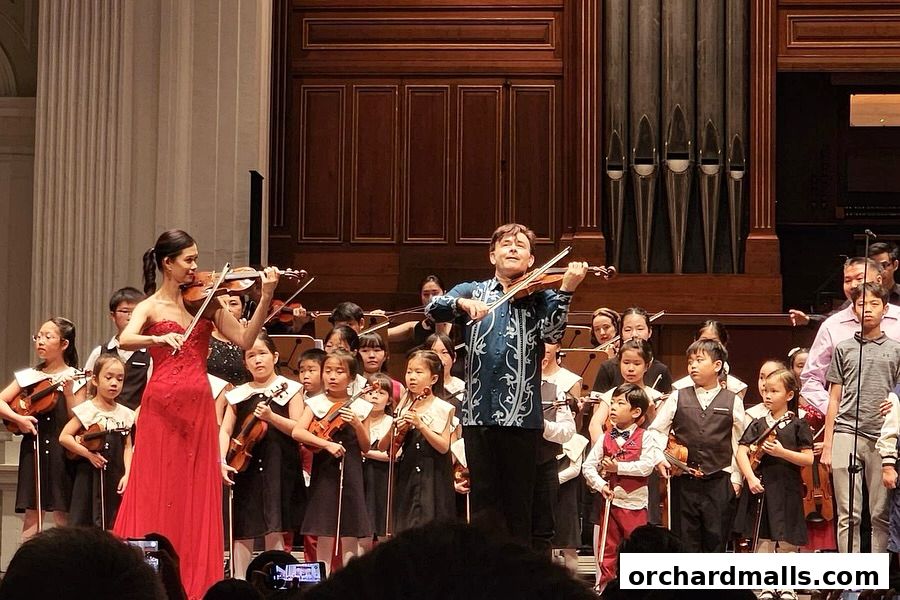 Wolfgang Violin Studio Centrepoint