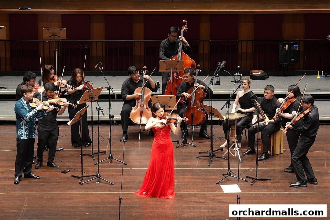 Wolfgang Violin Studio Centrepoint