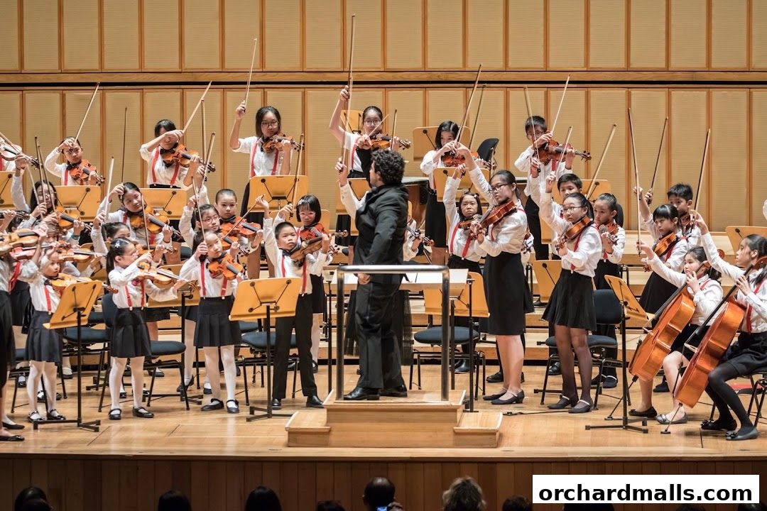 Wolfgang Violin Studio Centrepoint