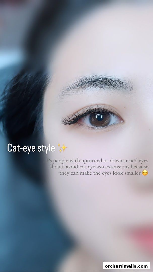 WonderStudioSG.Far East Plaza