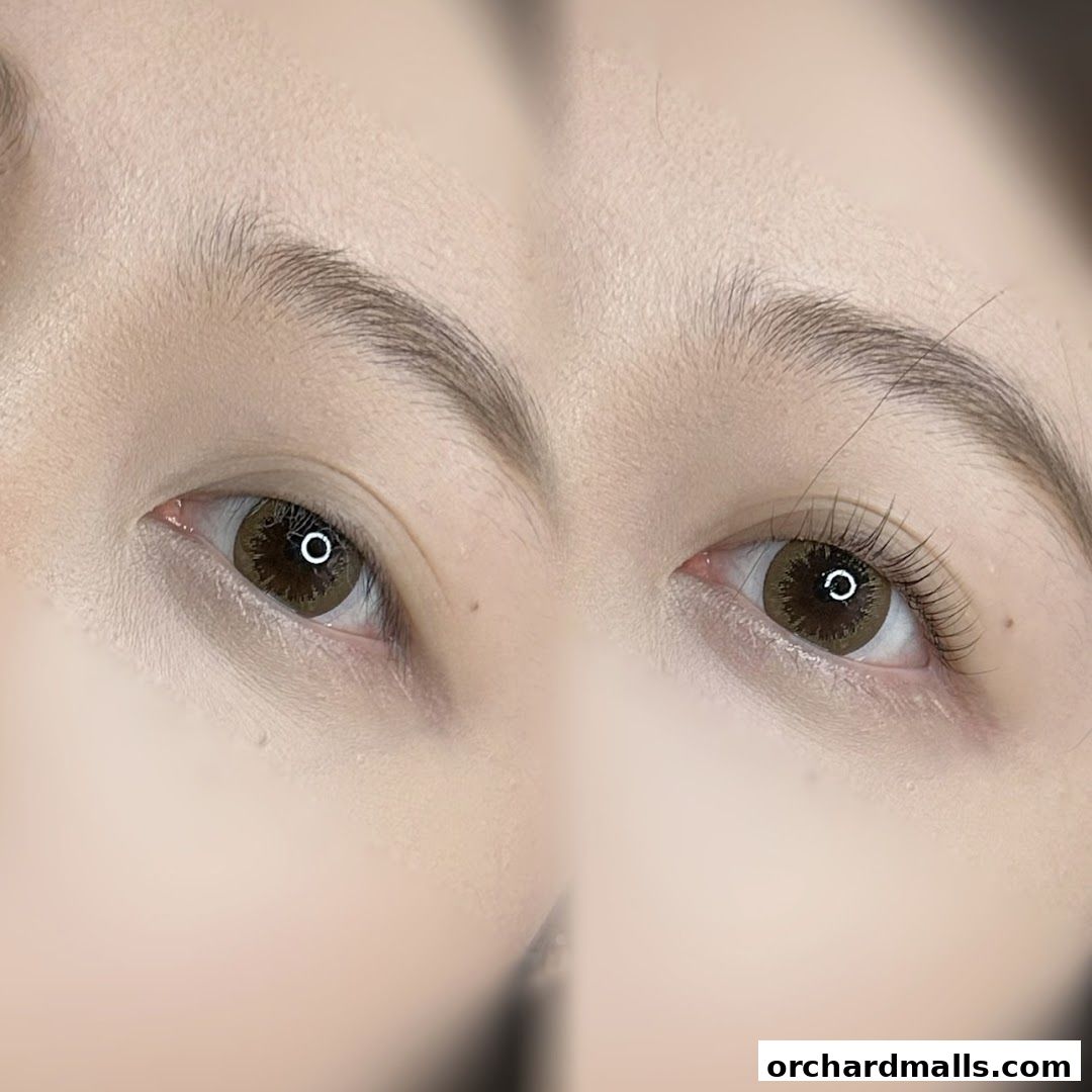 WonderStudioSG.Far East Plaza