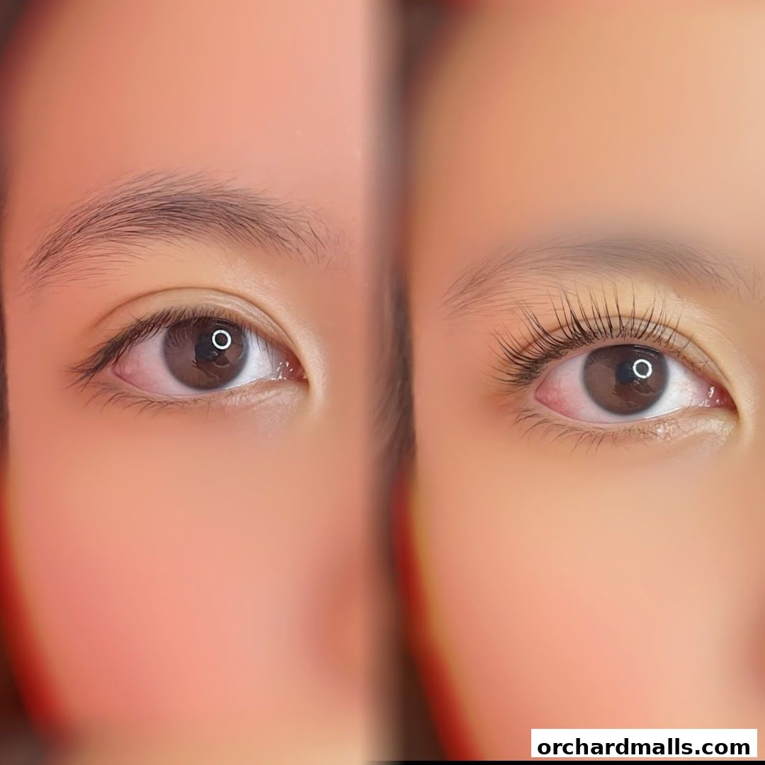 WonderStudioSG.Far East Plaza