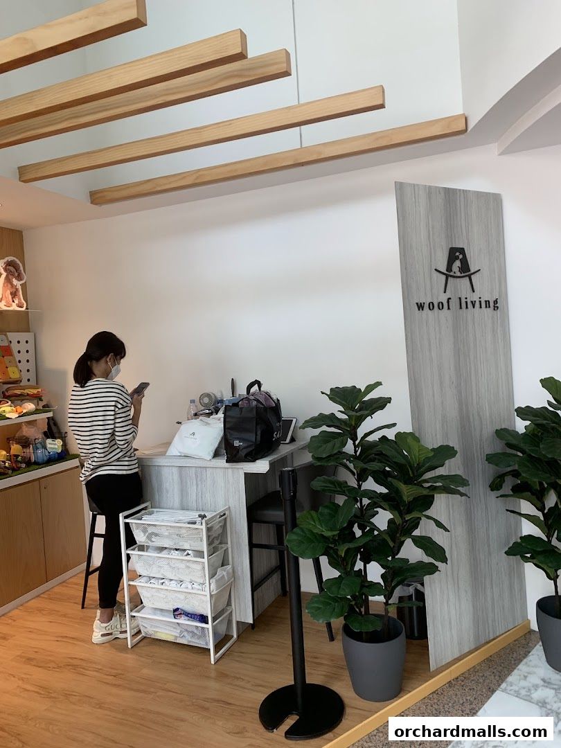 A woman stands at a counter in a modern shop with plants and a logo.