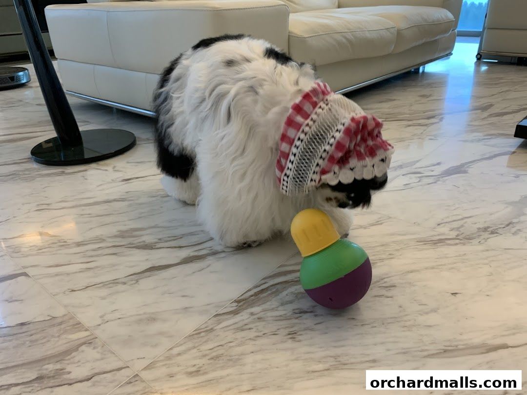 A fluffy dog wearing a decorative headband plays with a colorful toy on a marble floor.