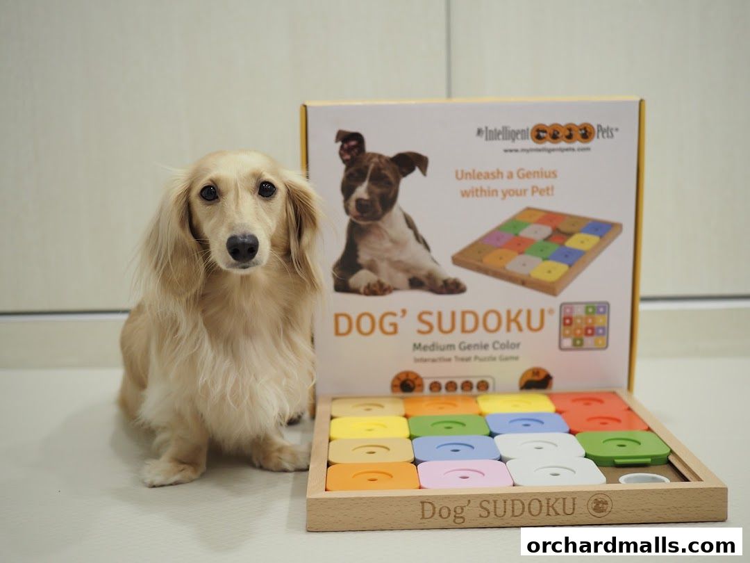 A long-haired dachshund sits next to a Dog' Sudoku interactive treat puzzle game.