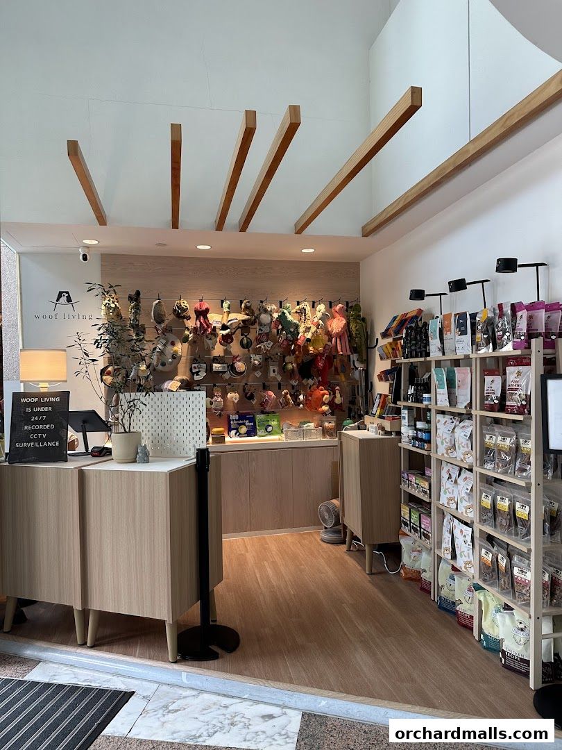 Interior view of Woof Living pet store showcasing toys and pet food.
