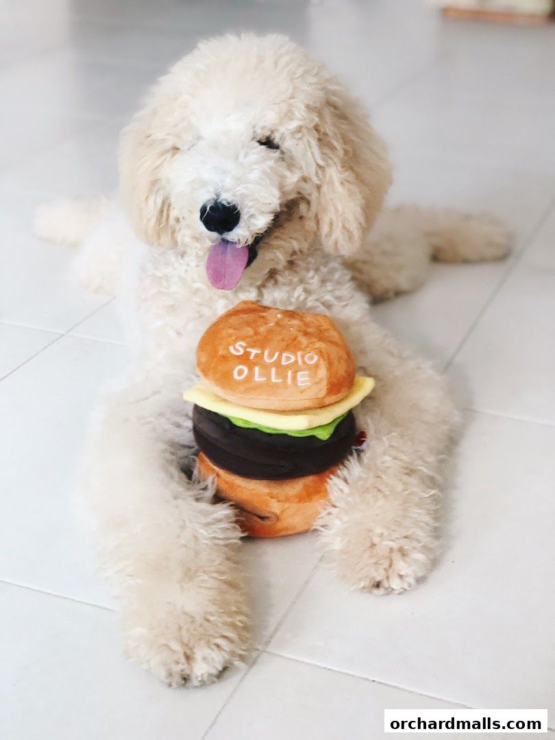 A fluffy white dog lies down with a plush hamburger toy that says 'STUDIO OLLIE'.