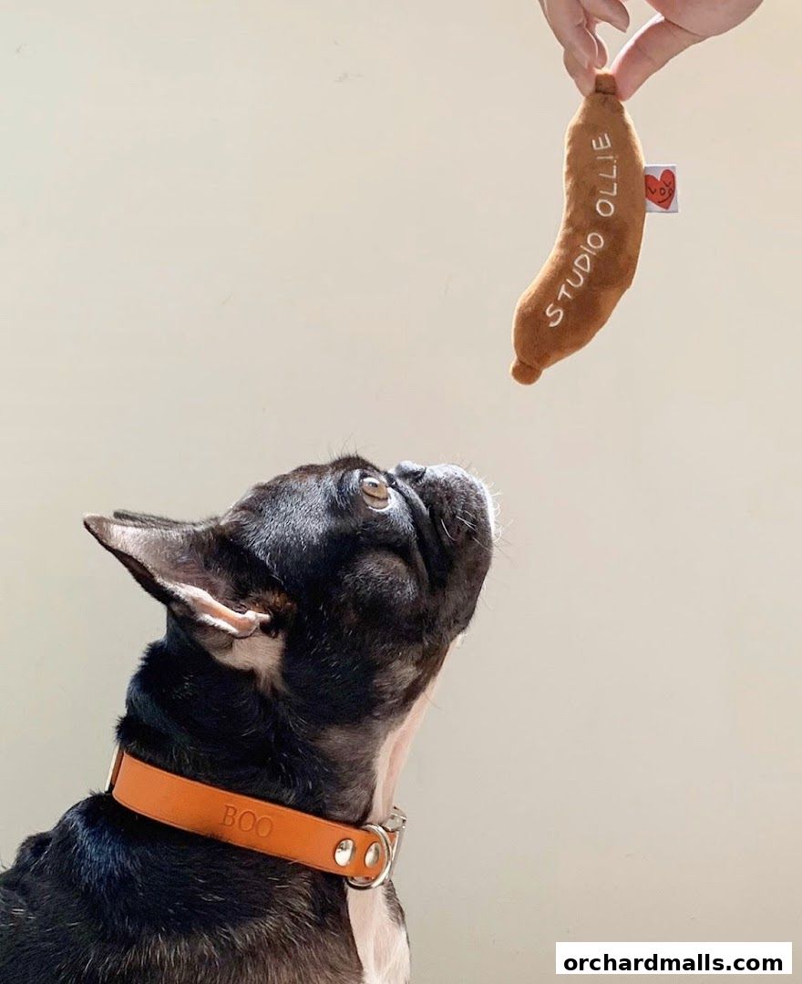 A French Bulldog looks up at a sausage-shaped dog toy held by a hand.