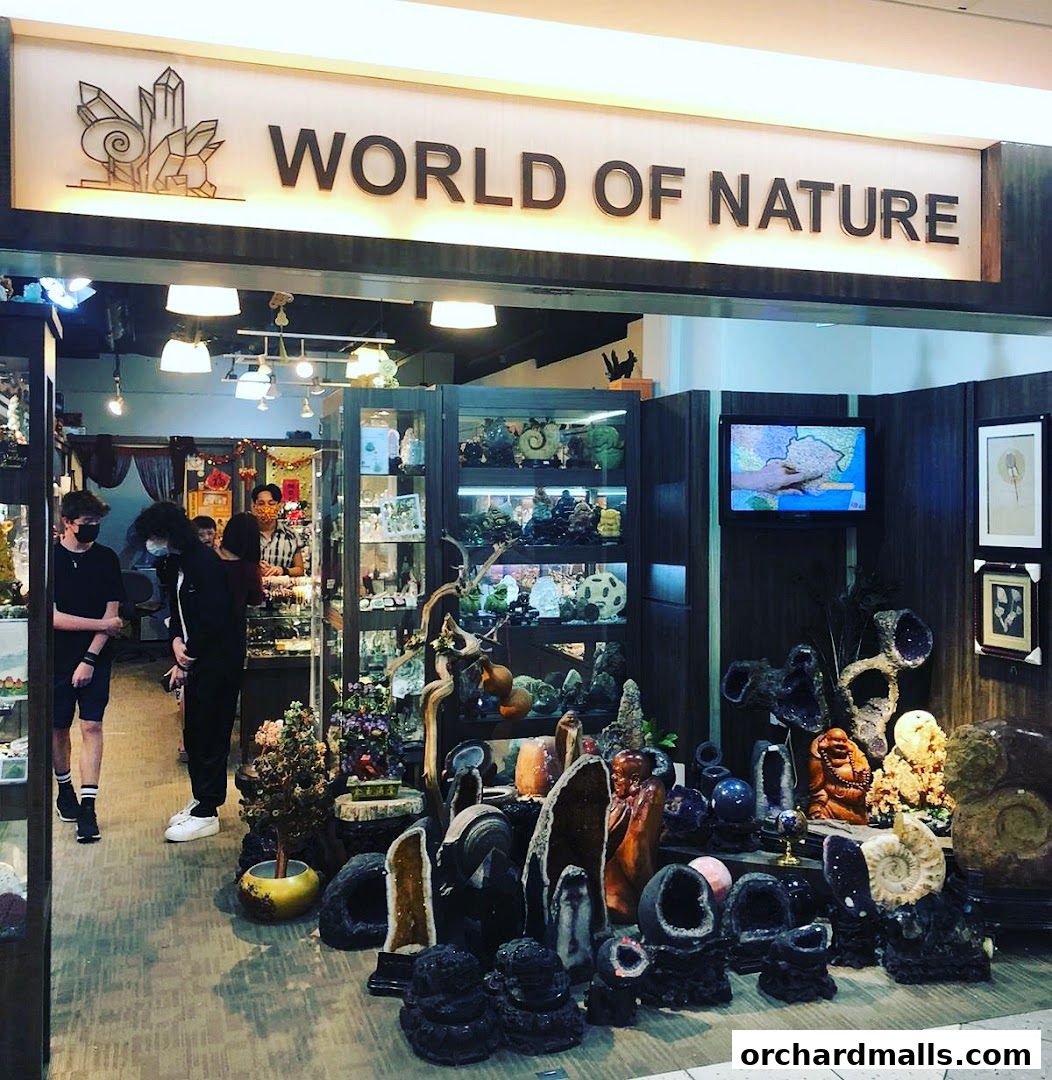 World Of Nature