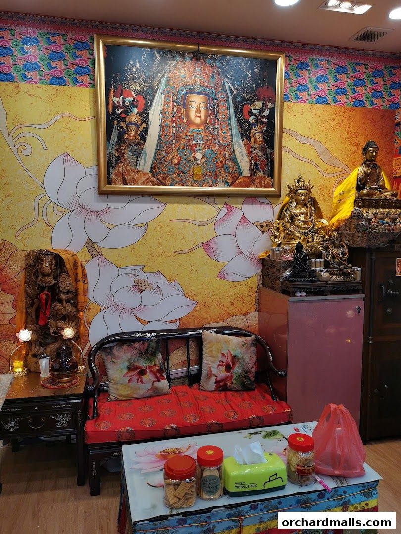 Worldlink Dzi Gallery