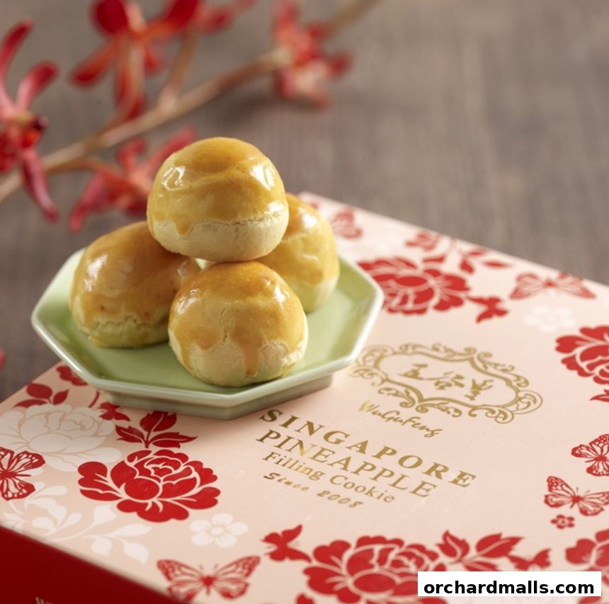 WuGuFeng SINGAPORE 五谷豐新加坡礼饼