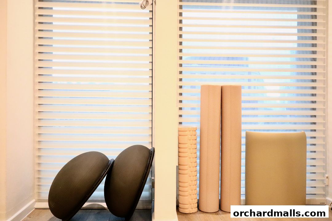 Pilates equipment including balance balls, foam rollers, and a bolster against blinds.