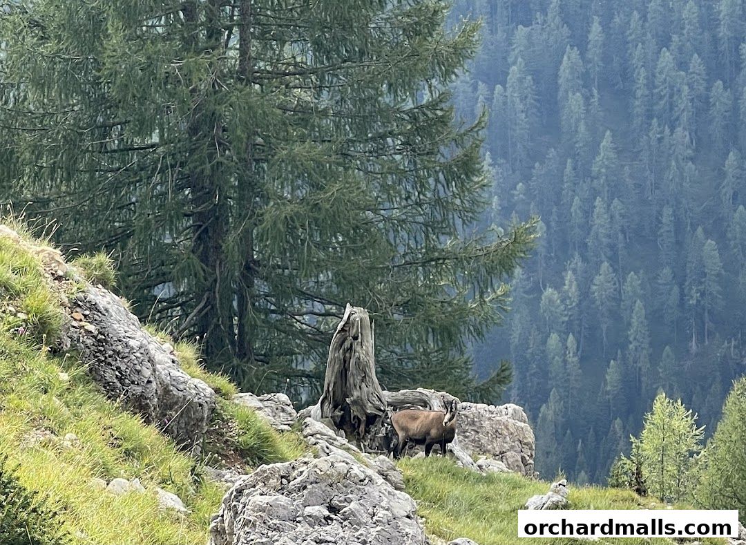 X-Trekkers Adventure