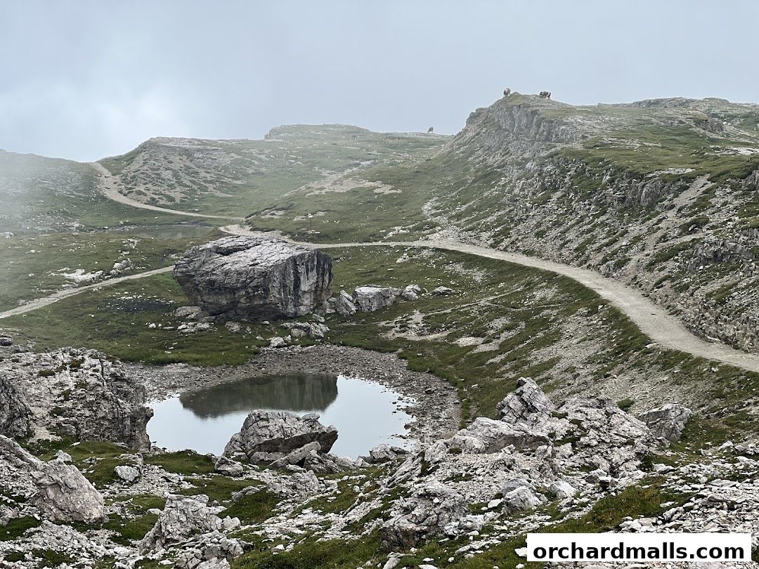 X-Trekkers Adventure