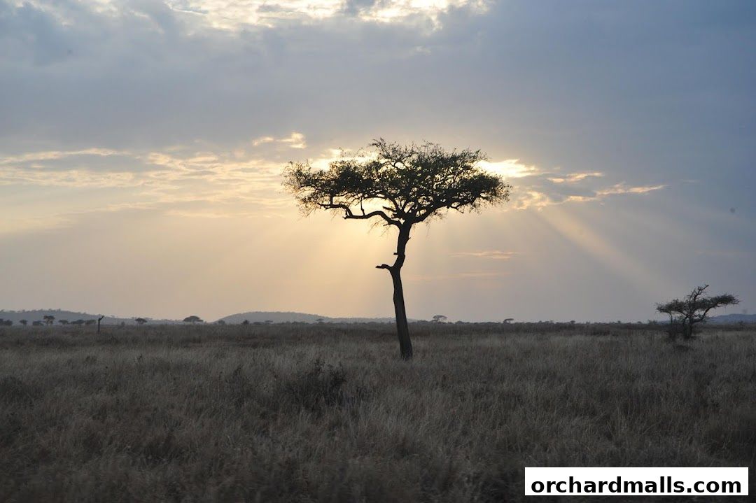 X-Trekkers Adventure