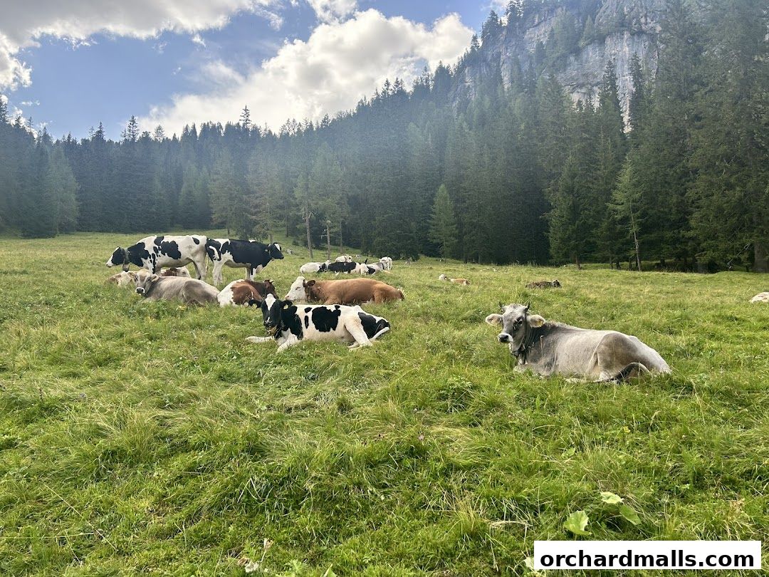 X-Trekkers Adventure