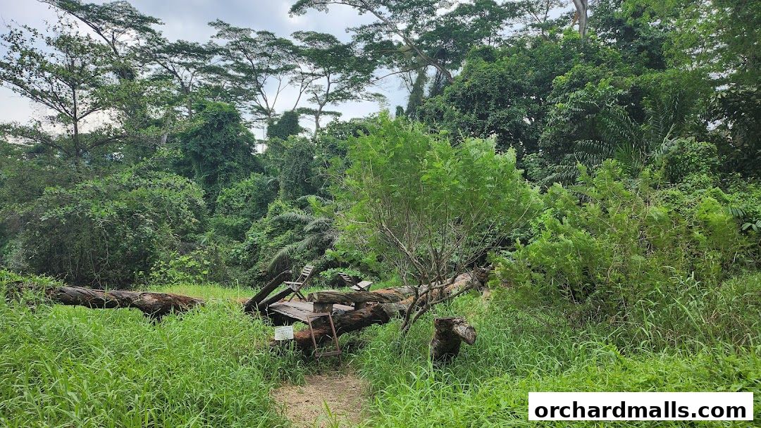 X-Trekkers Adventure